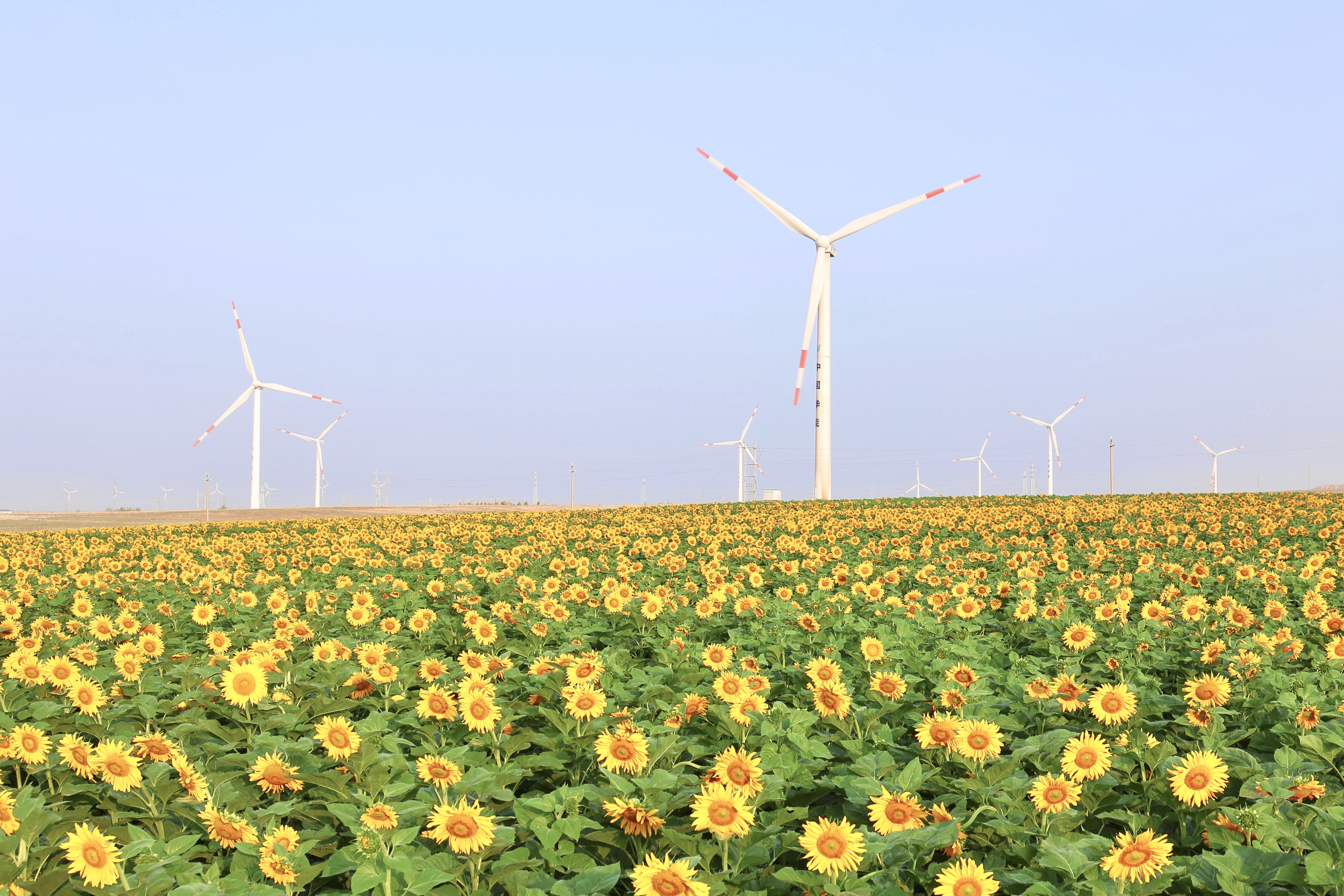 008PG国际股份助力推动风电场控制手艺国际研发项目顺遂实验