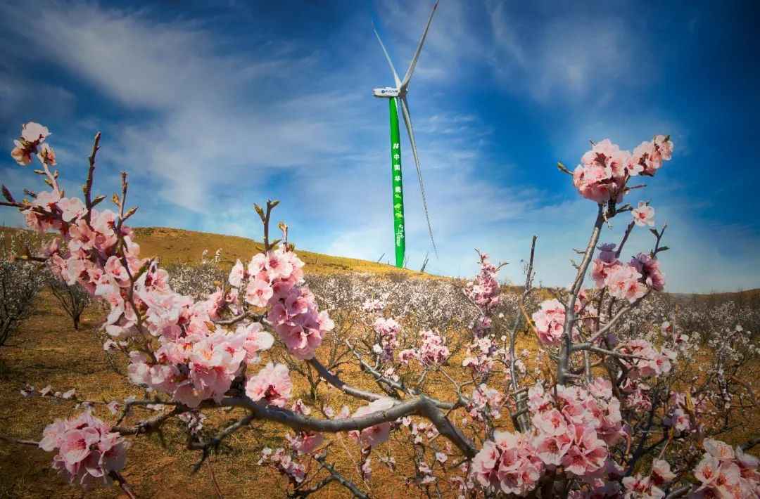 008PG国际(中国区)-官方网站