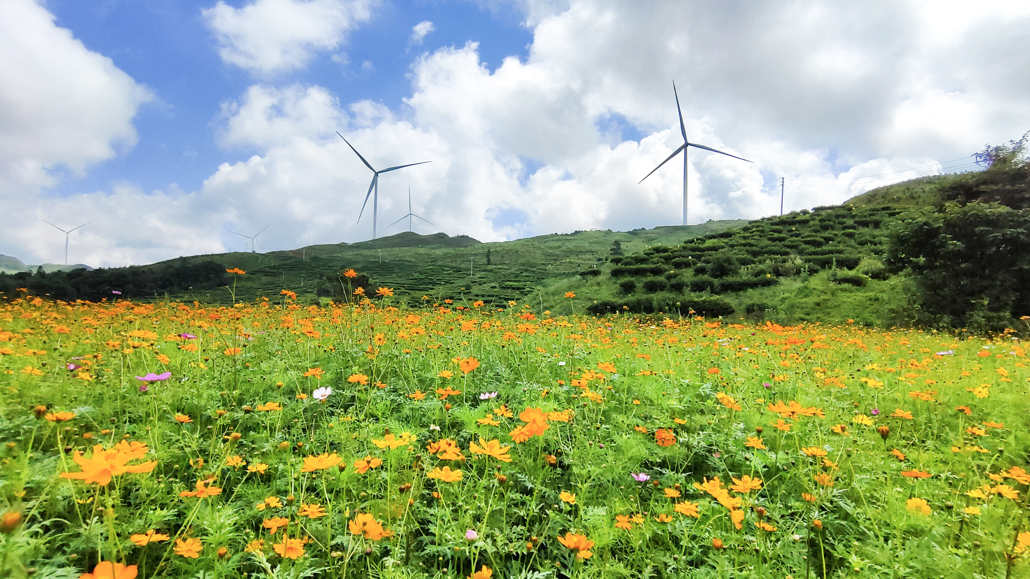 008PG国际(中国区)-官方网站