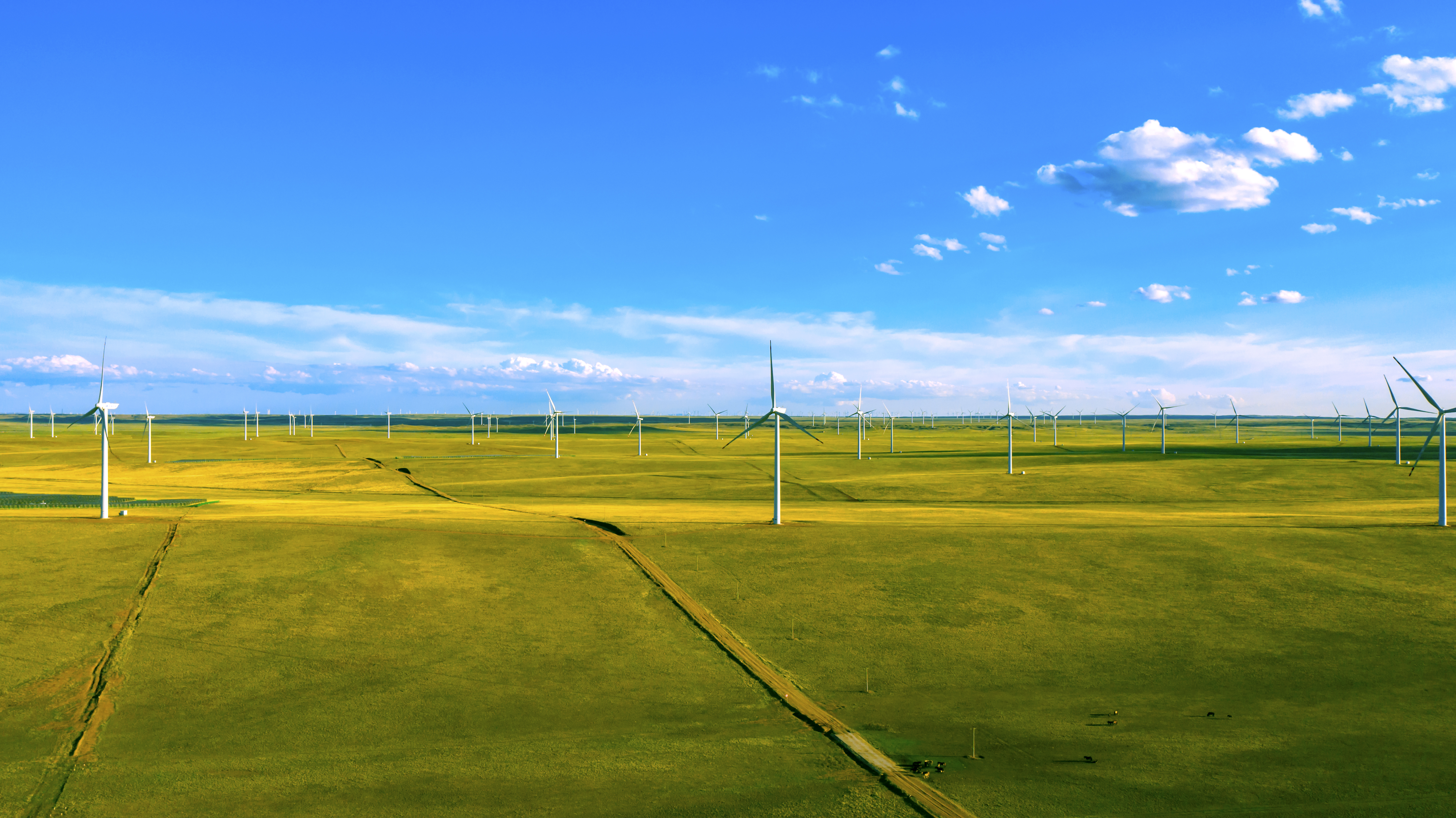 一图读懂 | 008PG国际股份2023年情形、社会与公司治理（ESG）报告